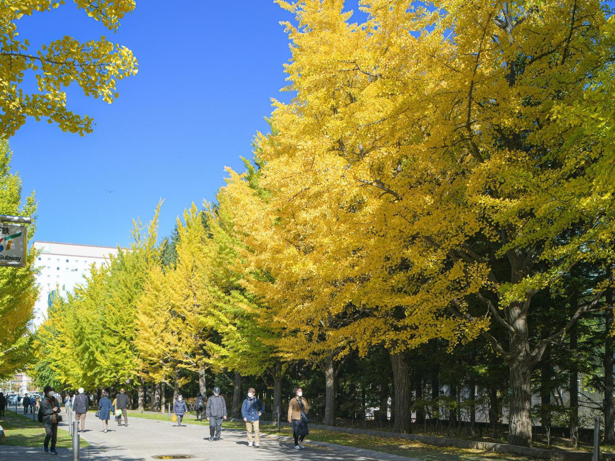 Vessel Inn Sapporo Nakajima Park Extérieur photo